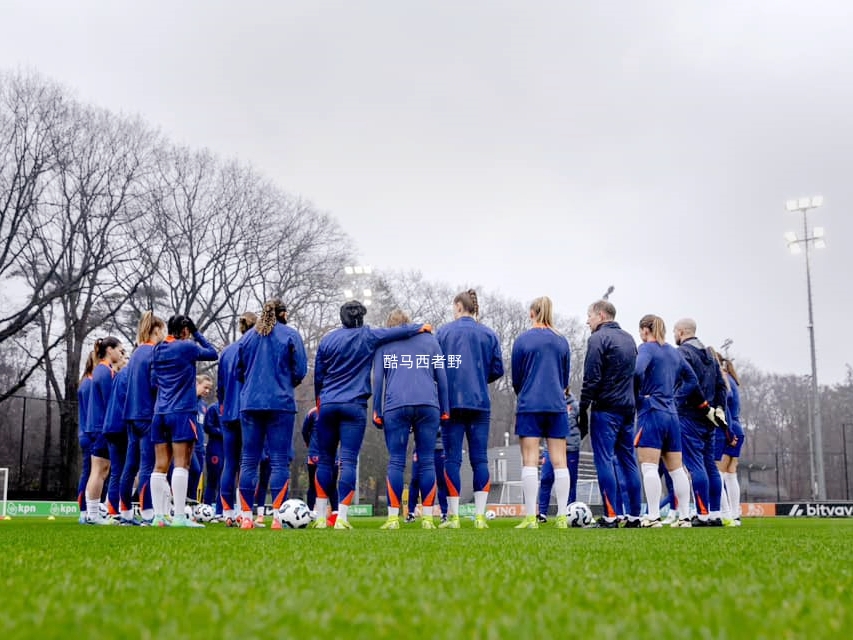 开云体育在线-精彩荷兰女足比赛，激发观众热情