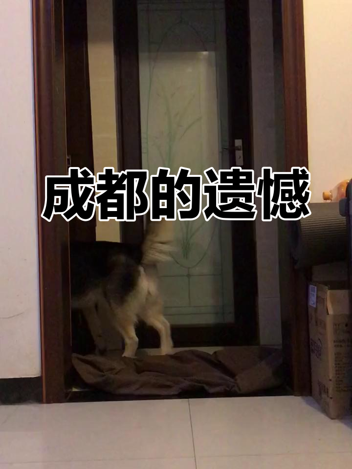 开云体育-关于汉诺威客场奋力争取，但遗憾失利的信息