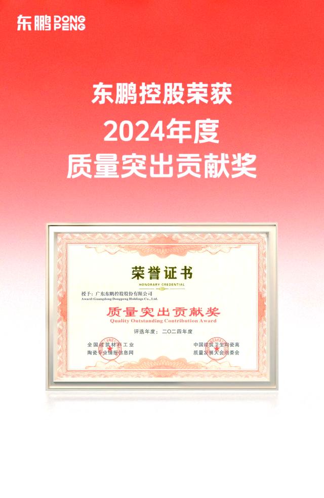 开云体育app-优秀代表斩获多项殊荣，成果斐然的简单介绍