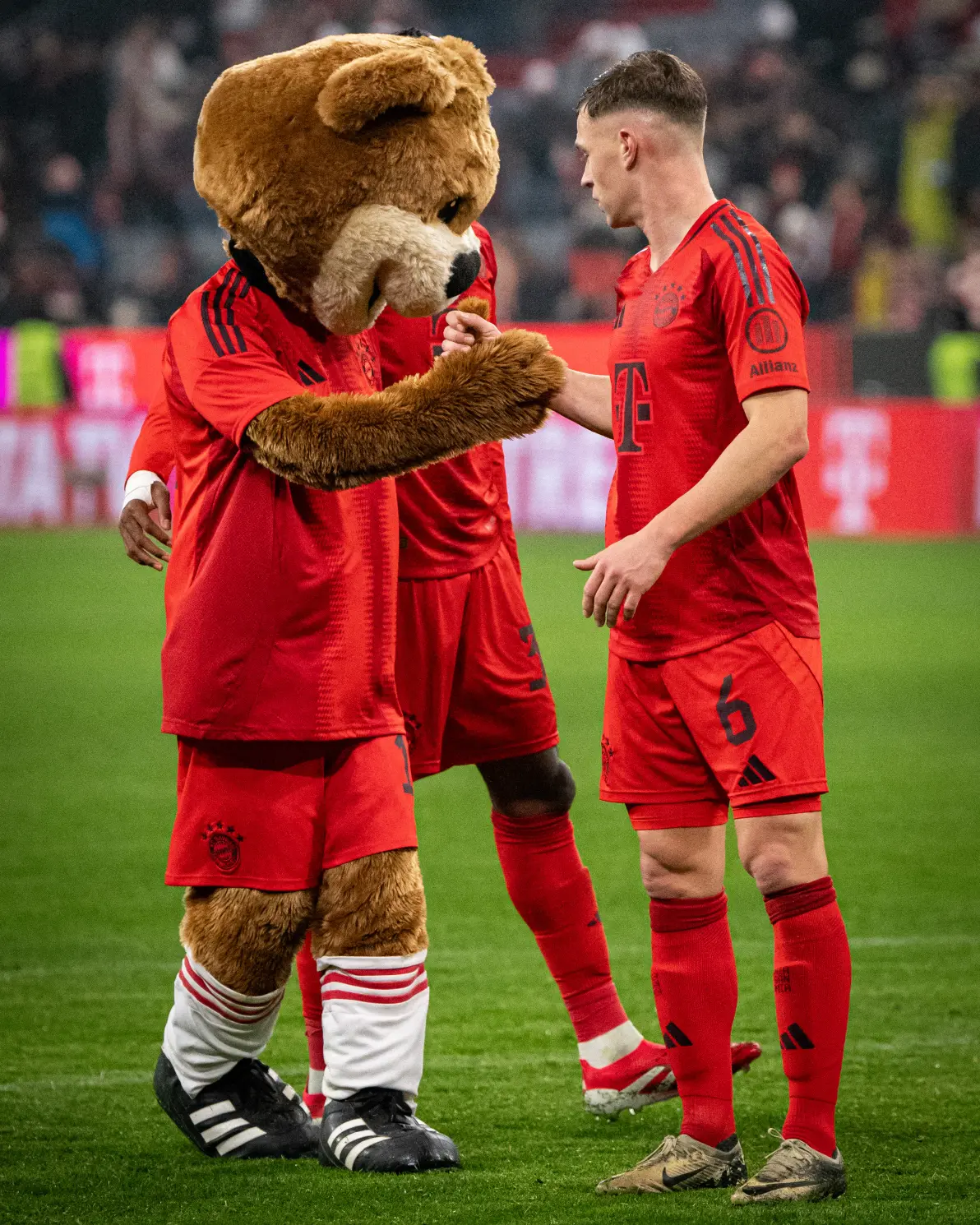 霍芬海姆再胜一场，稳坐德甲积分榜前列