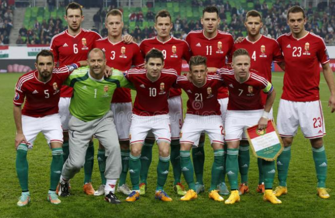 芬兰迎战奥地利，争夺欧洲预赛决赛资格的简单介绍